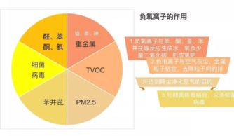 舜明車載空氣凈化器加盟 信息技術咨詢助您精力充沛創業